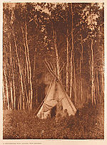 Edward S. Curtis